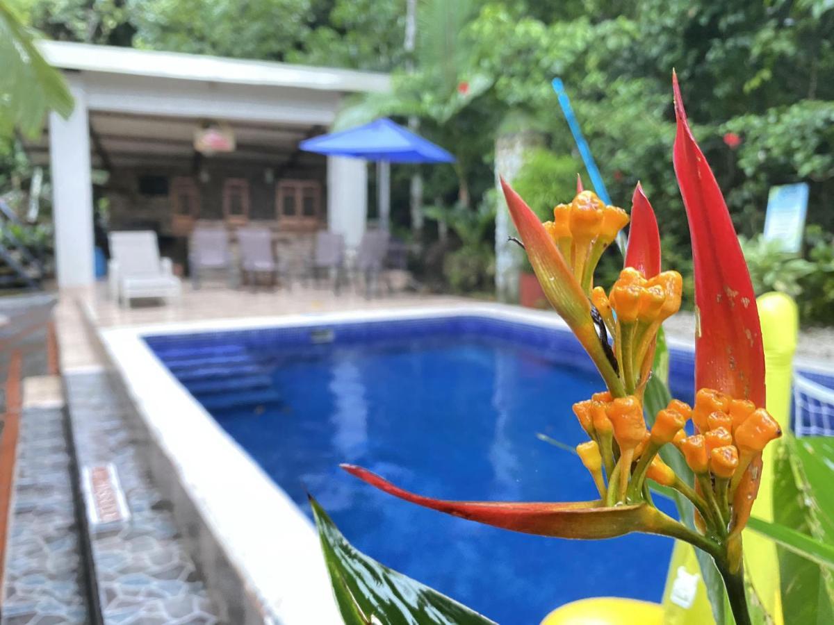 La Posada Jungle Hotel Manuel Antonio Exterior foto