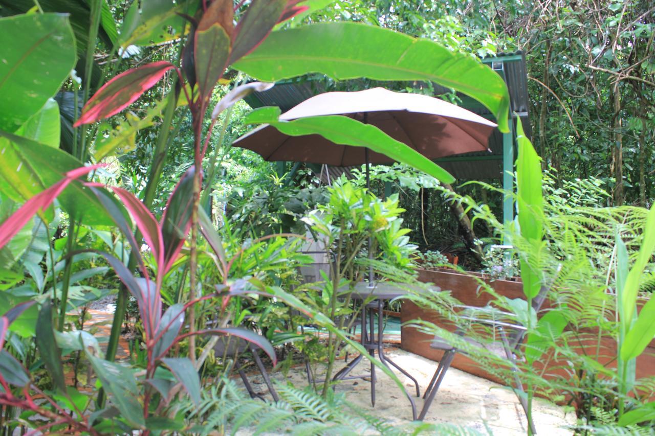 La Posada Jungle Hotel Manuel Antonio Exterior foto